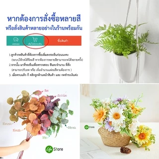 ช่อเฟิร์นหลากชนิด ต้นไม้ประดิษฐ์ สวยงามเสมือนจริง (พร้อมส่งในไทย ถึงเร็วทันใจ)