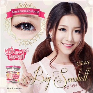 ⏱Big Seashell Gray⏱สายตาปกติ,-1.00,-3.25,-4.25,-4.50(kitty kawaii)(Bigeyes)