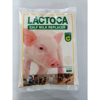 นมผงแลคโตคา นมผงสัตว์ นมหมู นมวัว นมผงสำหรับสัตว์ ขนาด1kg. นมผงแลคโตคา lactoca