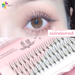 ขนตาช่อ 10D 10เส้น EYELASHES ความหนา 0.07C กล่องชมพู ขนตาช่อเกาหลี น่ารักตะมุตะมิสุดๆ