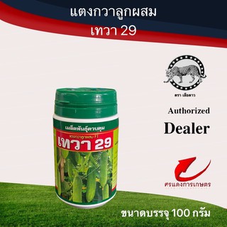 เมล็ดพันธุ์ แตงกวาเทวา29 100g