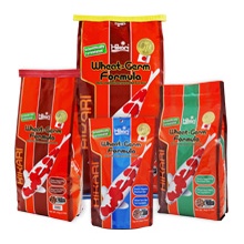 Hikari Wheat-Germ Formula ฮิคาริ วีท-เจิร์ม เม็ดจม/ลอย ช่วยย่อย เสริมภูมิคุ้มกัน เร่งเจริญพันธุ์