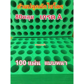 ถ้วยปลูกผักไฮโดรโปนิกส์ สีเขียว 80 หลุม เกรด A 100แผง(ยกลัง)