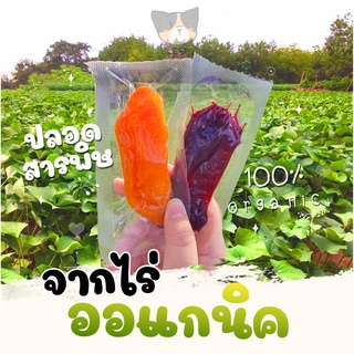 มันหนึบ มันหวาน มันหวานญี่ปุ่น มันม่วง มันหนึบญี่ปุ่น มันญี่ปุ่น สินค้า0บาท