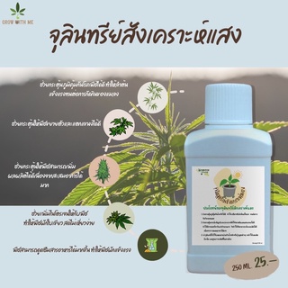 Photosynthetic bacteria:PSB จุลินทรีย์สังเคราะห์แสง