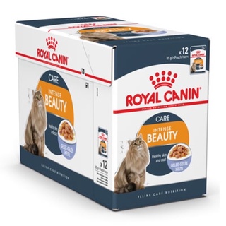 Royal Canin jelly Intense Beauty Pouch 85 g. x 12 โรยัล คานิน อาหารแมวแบบเปียกชนิดซอง สูตรบำรุงขนและผิวหนัง ขนาด 85 ก. (