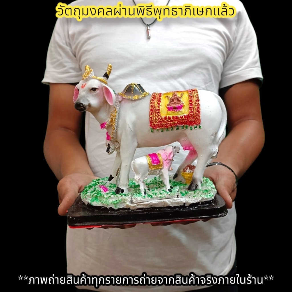 พระครูนนทิ พาหนะของพระศิวะ 5นิ้ว พระโคทรงเครื่อง เหมาะบูชาถวายพระศิวะ หรือบ้านใดมีไว้บูชาจะทำให้เจริญก้าวหน้ารุ่งเรือง