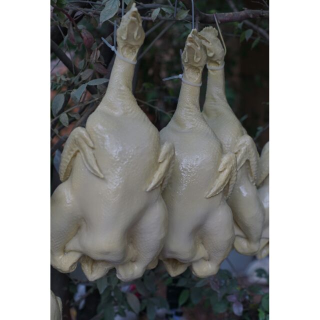 ไก่ต้มปลอมทรงคอยาวขนาดเท่าไก่จริง4กิโล มาพร้อมที่แขวน