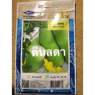 แฟง เมล็ดพันธุ์เจียไต๋  สินค้าพร้อมส่ง