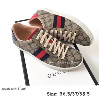 New Gucci Sneaker