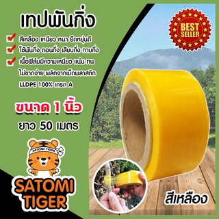 เทปพันกิ่ง เทปฟิล์มพันกิ่ง สีเหลือง ขนาด 1 นิ้ว ยาว 50 เมตร เทปทาบกิ่ง เทปติดตา เนื้อเหนียว ตอนกิ่ง เทปพันกิ่ง