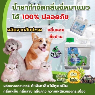 น้ำยากำจัดกลิ่นฉี่ ล้างกรงหมา ล้างพื้นคอกหมาActive800ml