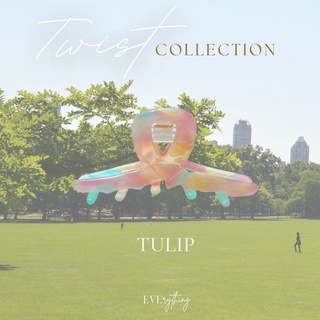 twist collection • กิ๊บติดผม