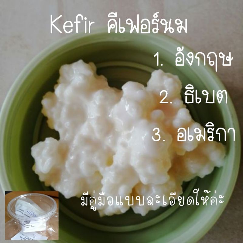 (ส่งทุกวัน)​ เกรนคีเฟอร์นม อังกฤษ/ธิเบต​ พร้อมส่ง​ Kefir grains grains