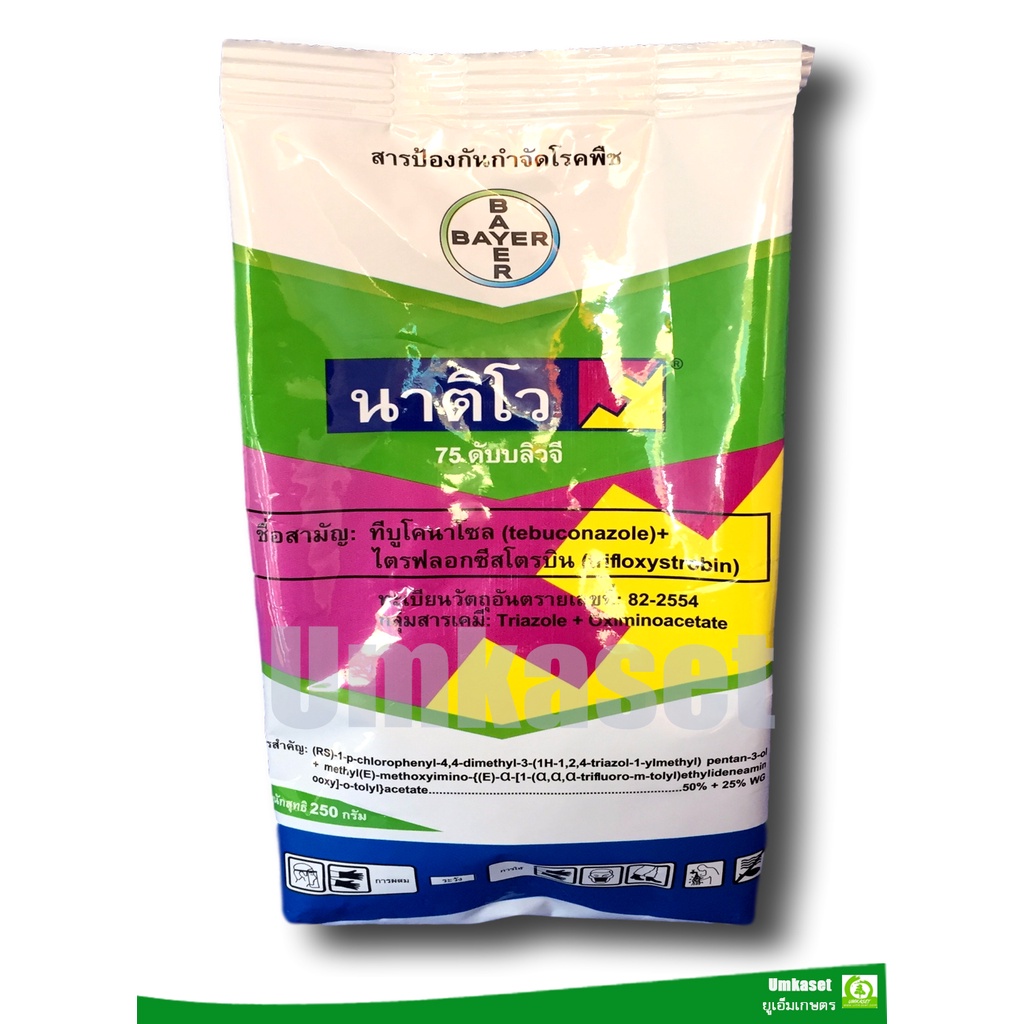 นาติโว 75ดับบลิวจี ทีบูโคนาโซล+ไตรฟลอกซีสโตรบิน(tebuconazole + trifloxystrobin)(ขนาด250กรัม)ไบเออร์