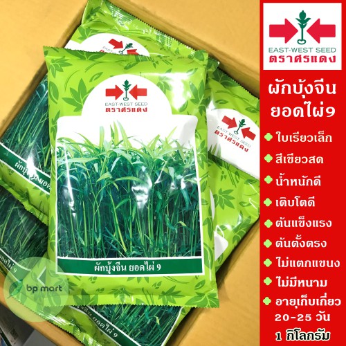 เมล็ดพันธ์ ผักบุ้งจีน ยอดไผ่9 1 กิโล ตราศรแดง ใบเรียวเล็ก สีเขียวสด น้ำหนักดี เมล็ดผักบุ้งจีนยอดไผ่9