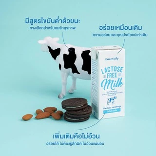 [24 กล่อง/ลัง] Essentially Lactose Free Milk Low Fat นม UHT ปราศจากน้ำตาลแลคโตส ไขมันต่ำ นมกล่อง แลคโตสฟรี นมโคแท้ 180มล