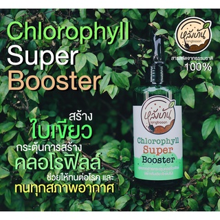 Chlorphyll Super Booster สร้างใบเขียว ให้ต้นไม้ สร้างคลอโรฟิลล์ กระตุ้นการสังเคราะห์แสง