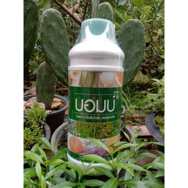 บอมบ์กำจัดเชื้อไวรัสเพลี้ยไฟไรแดง ขนาด 1000 ซีซี - รูปที่ 2