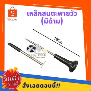 เหล็กสนตะพาย เหล็กเจาะแทงจมูก วัว-ควาย มีด้าม/ไม่มีด้าม สแตนเลสแท้