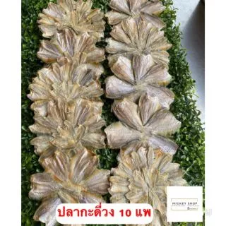 ปลากระดี่วงตากแห้ง ตัวปลาสวย