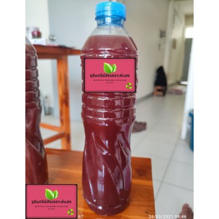 หัวเชื่อจุรินทรีย์สังเคราะห์แสงเข้มข้น 1ขวดขนาด 600ml.ขยายจุรินทรีย์