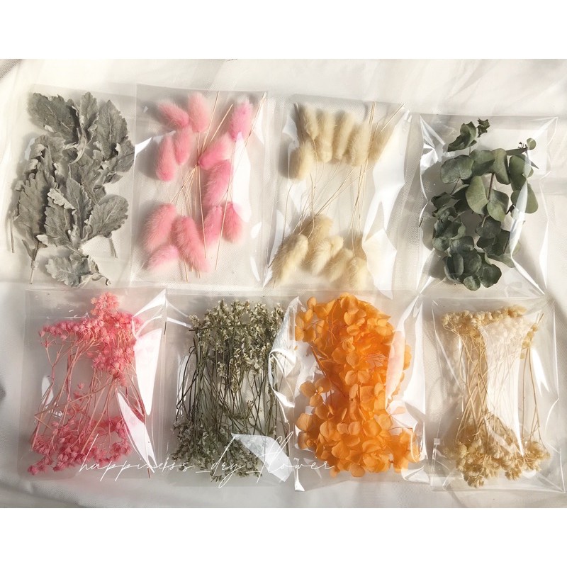 ดอกไม้แห้งตกแต่งdiyดอกไม้แห้งงานตกแต่ง ‼️ พร้อมส่ง ‼️