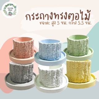 กระถางแคคตัส กระถางปูนทรงตอไม้ พร้อมถาดรอง สูง 5 cm กว้าง 5.5 cm (6 สี) กระถางกระบองเพชร กระถางปูน