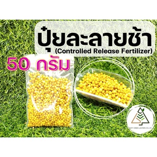 50 กรัม ปุ๋ยละลายช้า (Controlled Release Fertilizer)