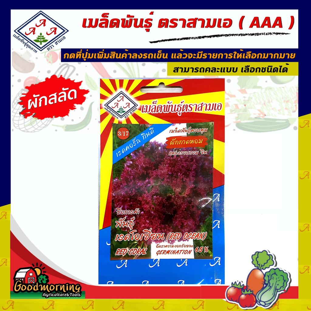 AAA  🇹🇭 ผักซอง 3เอ A3/17# ผักสลัด เรดโอเชี่ยน ตรา AAA ผักซอง เมล็ดพันธุ์ผัก 3เอ ผักสวนครัว เมล็ดพันธ