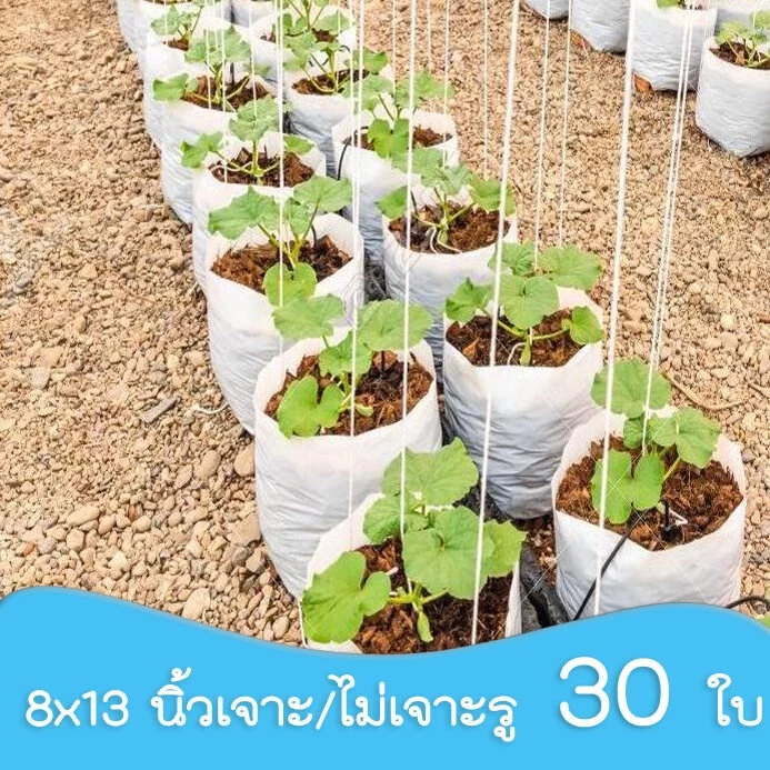 TGM (30 ใบ) 8x13 นิ้ว ถุงปลูกเมล่อน มะเขือเทศ ถุงปลูก สีขาว เกรด A เนื้อ HD