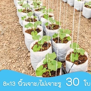 TGM (30 ใบ) 8x13 นิ้ว ถุงปลูกเมล่อน มะเขือเทศ ถุงปลูก สีขาว เกรด A เนื้อ HD