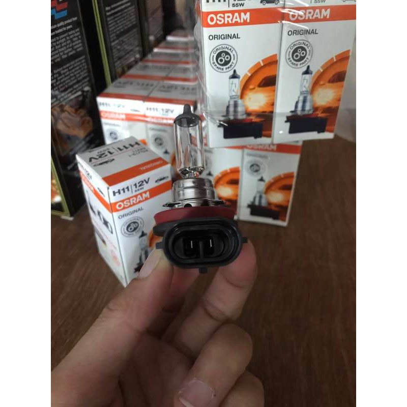 หลอดไฟรถยนต์ H11 12V 55w Osram germany แท้ จำนวนเลือกตามตัวเลือกค่ะ รบกวนตรวจเช็ครหัสขั้วก่อนทำการสั่งซื้อนะคะ - รูปที่ 4