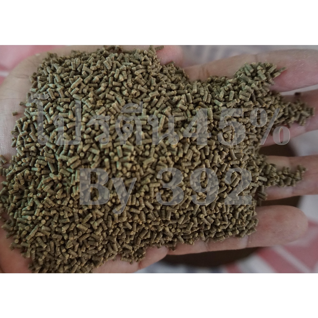 #ราคาถูก#อาหารกุ้งเบอร์3โปรตีน45%แบบเม็ดเล็กชนิดจมน้ำใช้สำหรับกุ้งปูกุ้งฝอย(กุ้งลงเดินระยะที่1 1.5-3.0กรัมขนาดบรรจุะ500 - รูปที่ 2