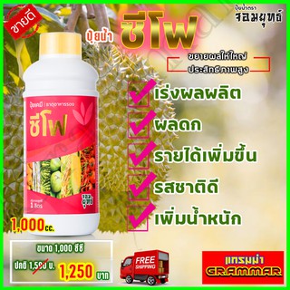 🔥🔥 ส่งฟรี 🔥🔥 ซีโฟ ปุ๋ยน้ำซีโฟ ( ขนาด 1000 ซีซี ) บำรุงผล เร่งการเติบโตผล ผลดกใหญ่ ยืดอายุการเก็บเกี่ยว แกรมม่าทู เอฟอช