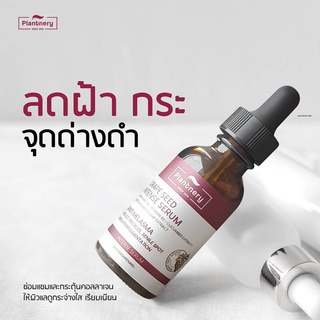 PLANTNERY GRAPE SEED SERUM 🍇 ช่วยลดเลือนฝ้า กระ และจุดด่างดำ 30ml.