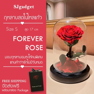 🌹ของขวัญวาเลนไทน์🌹 กุหลาบในโหลแก้ว Size S สูง 17 cm Preserved Rose ของขวัญครบรอบ ดอกกุหลาบอมตะ ดอกกุหลาบ