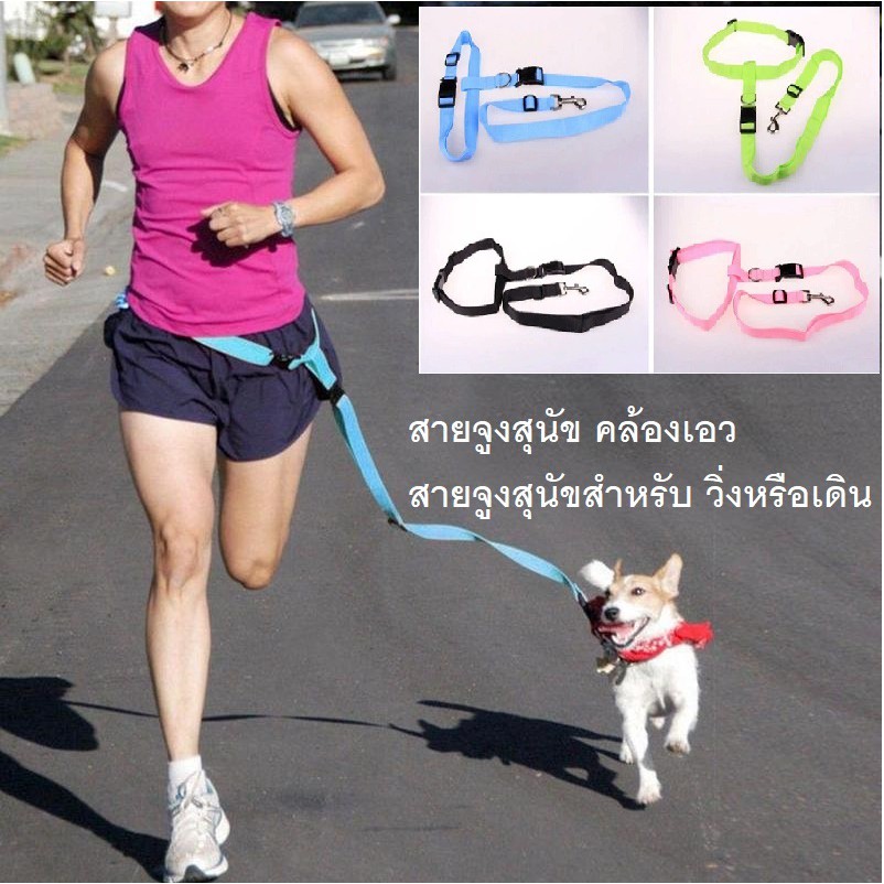 สายจูงสัคว์เลี้ยง, สายจูงสุนัข แบบ คล้องเอว สายจูงเดิน หรือวิ่งได้ โดยไม่ต้องใช้มือจูง / Hands Free Pet Dog Walking