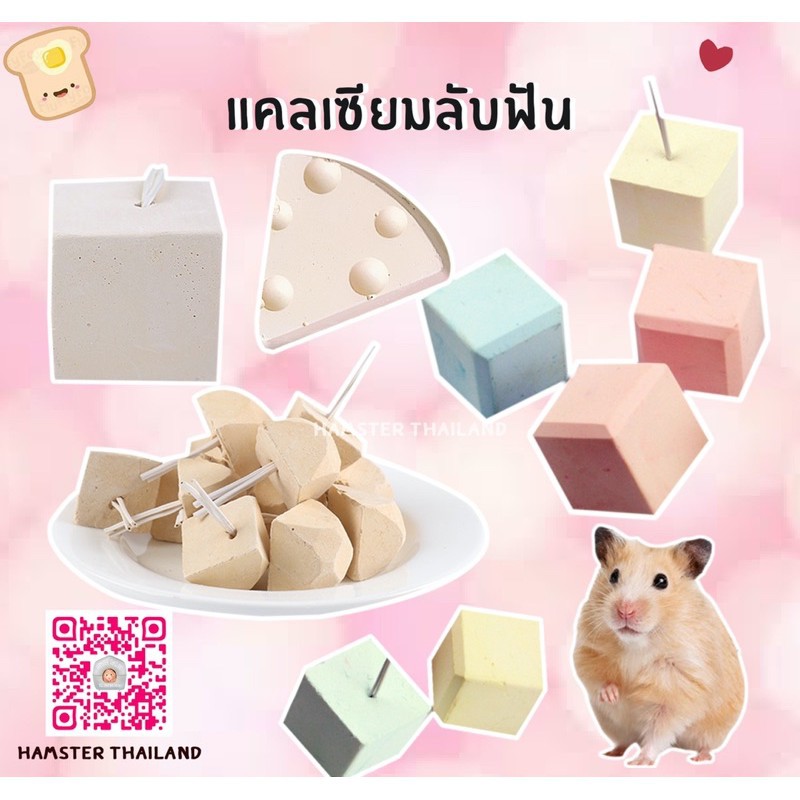 [Hamsterthailand] ก้อนแคลเซียม ลับฟัน ที่ลับฟัน สำหรับสัตว์เลี้ยง