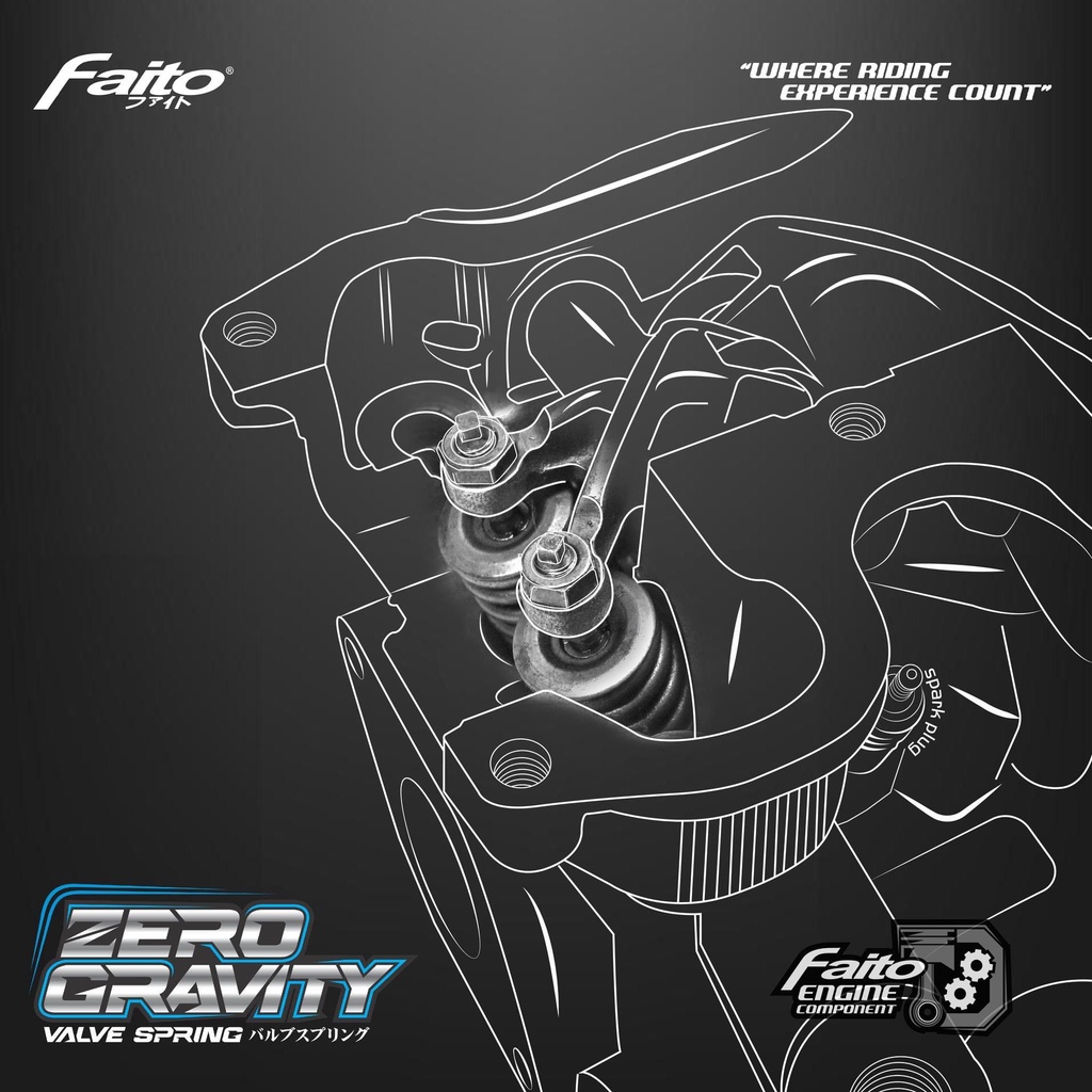 ZERO GRAVITY [ FAITO RACING ] VALVE SPRING [ S1 / S2 ] Y15 V1-V2
