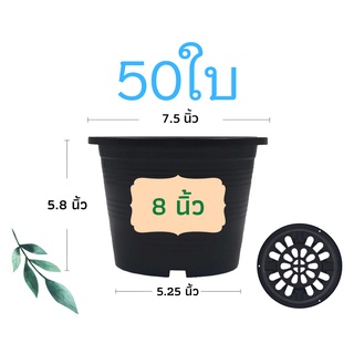 กระถางต้นไม้พลาสติก กระถางต้นไม้ สีดำ 8 นิ้ว 50ใบ ราคาส่ง