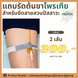 แถบรัดต้นขาโพรเทีย สำหรับยึดสายสวนปัสสาวะ **แพ๊คคู่ 2 เส้น **