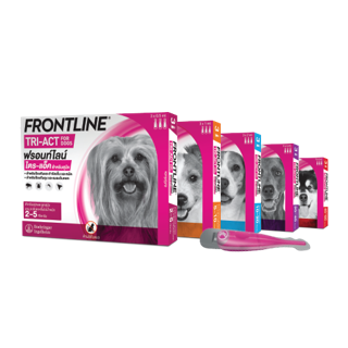 Frontline Tri-Act บรรจุ 3 หลอด ยาหยดป้องกันและกำจัดยุง เห็บ หมัด และแมงวันคอก สำหรับสุนัข 1 กล่อง