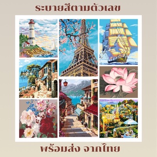 [ลดสุดๆ] 🏞 ระบายสีตามตัวเลข - DIY painting by numbers