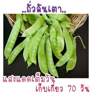 เมล็ดพันธุ์  ถั่วลันเตา 10 เมล็ด