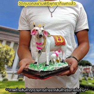 พระครูนนทิ พาหนะของพระศิวะ 5นิ้ว พระโคทรงเครื่อง เหมาะบูชาถวายพระศิวะ หรือบ้านใดมีไว้บูชาจะทำให้เจริญก้าวหน้ารุ่งเรือง