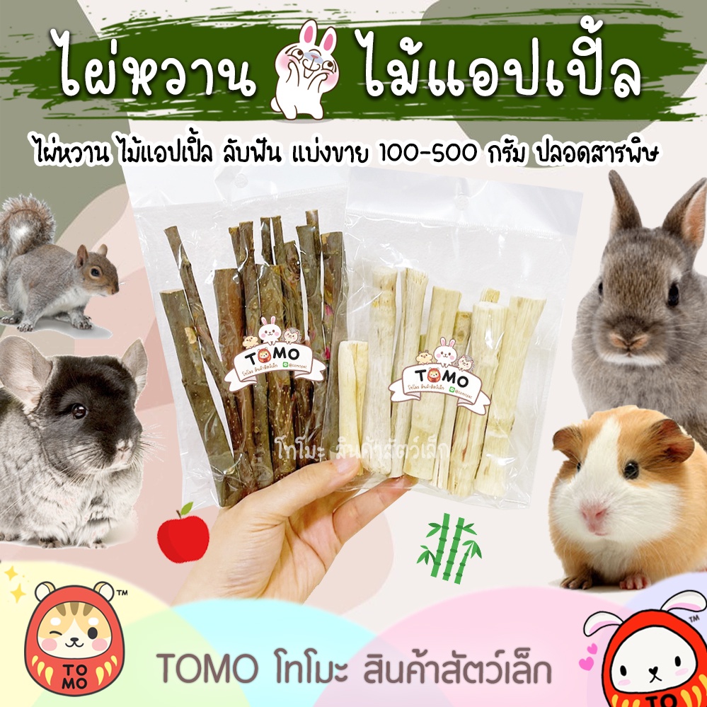 ร้านโทโมะ💕 ไม้แอปเปิ้ล ไผ่หวาน แบ่งขาย 100g 500g 1kg ลับฟัน แฮมสเตอร์ ชินชิลล่า กระต่าย เจอร์บิล กระ