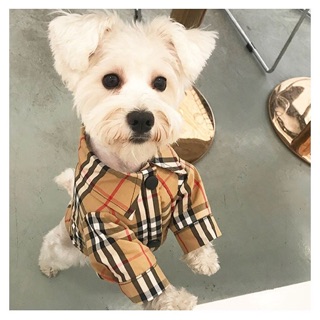 🐶🐱Burberry Classic Shirt🐱🐶 เสื้อเชิ้ตลายคลาสสิค