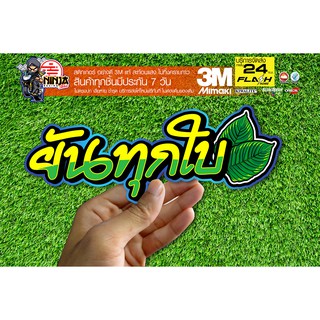 sticker สติกเกอร์ ยันทุกใบ สะท้อนแสง