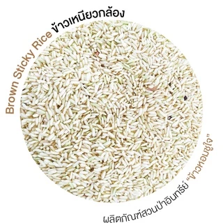 ข้าวเหนียวกล้องออร์แกนิค Brown Sticky Rice Organic หุงด้วยหม้อหุงข้าวไม่ต้องแช่ข้าว สีข้าวใหม่ทุกวัน